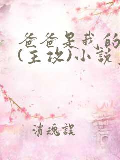 爸爸是我的老婆(主攻)小说免费阅读