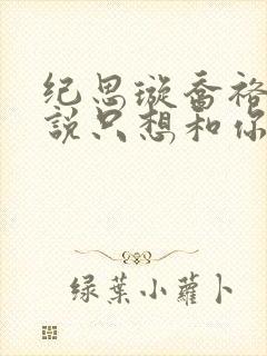 纪思璇乔裕的小说只想和你好好的