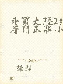 斗罗大陆2绝世唐门正版小说