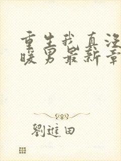 重生我真没想当暖男最新章节目录