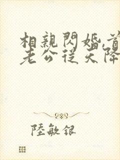 相亲闪婚,首富老公从天降免费看全文