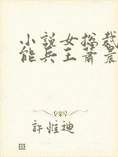 小说女总裁的全能兵王萧晨