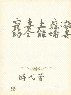 宠妻上瘾:总裁的全能娇妻