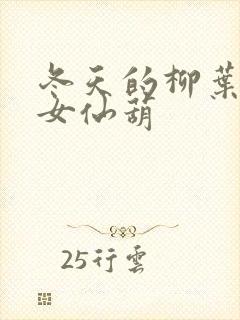 冬天的柳叶的凡女仙葫