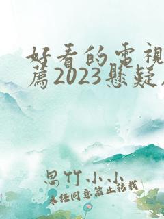 好看的电视剧推荐2023悬疑剧