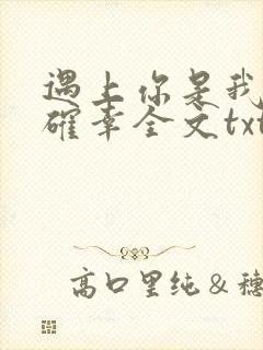 遇上你是我的小确幸全文txt下载