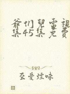 爷们儿电视剧全集45集免费版