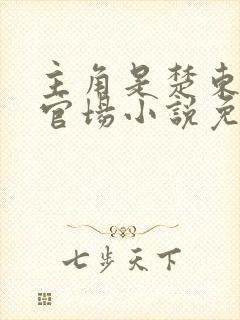 主角是楚东恒的官场小说免费阅读下载