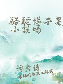 骆驼祥子是长篇小说吗