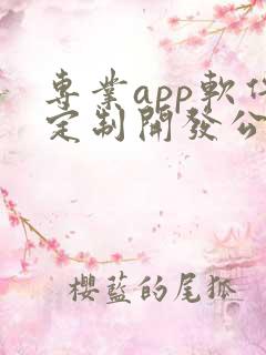 专业app软件定制开发公司