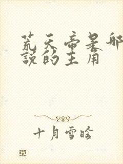 荒天帝是哪个小说的主角