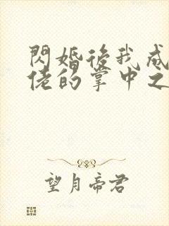 闪婚后我成为大佬的掌中之物