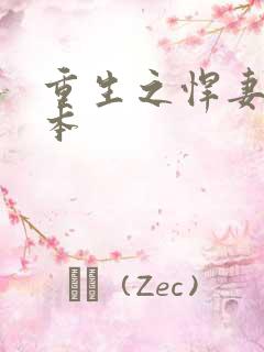 重生之悍妻 全本