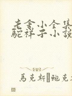 老舍小全集·骆驼祥子小说无弹窗