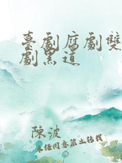 台剧腐剧双男主剧黑道