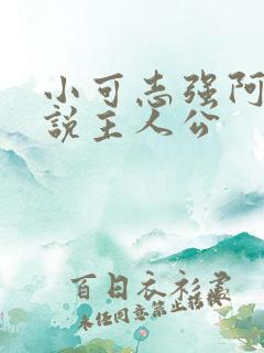 小可志强阿梅小说主人公