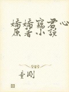 娇娇窃君心小说原著小说