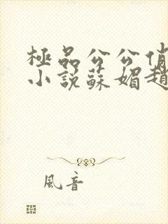 极品公公俏儿媳小说苏媚赵春城