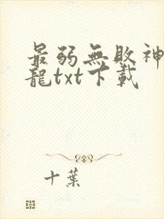 最弱无败神装机龙txt下载