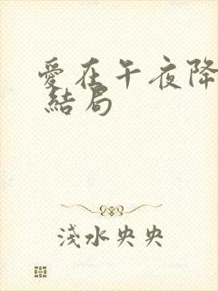 爱在午夜降临前 结局