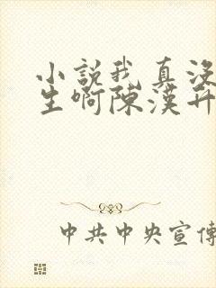 小说我真没想重生啊陈汉升阅读