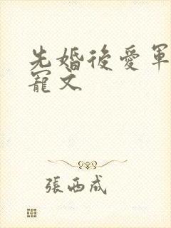 先婚后爱军婚甜宠文