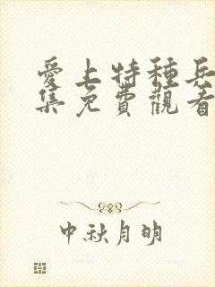 爱上特种兵40集免费观看