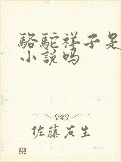 骆驼祥子是长篇小说吗