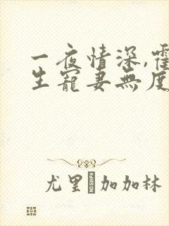 一夜情深,霍先生宠妻无度小说在线观看