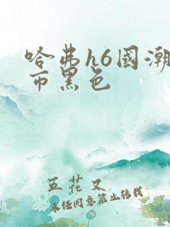 哈弗h6国潮都市黑色