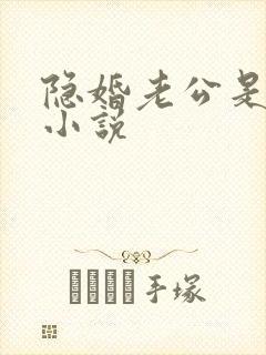 隐婚老公是大佬小说