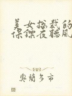 美女总裁的贴身保镖夜听风