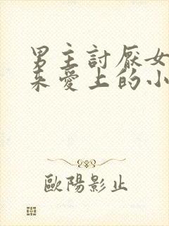 男主讨厌女主后来爱上的小说