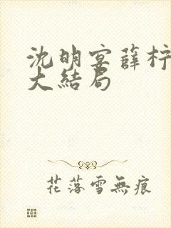 沈明宴薛柠小说大结局