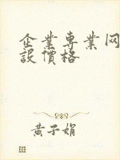 企业专业网站建设价格