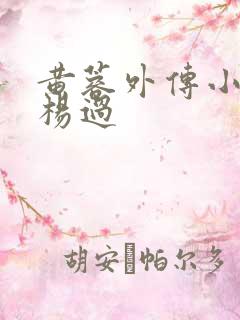 黄蓉外传小说和杨过