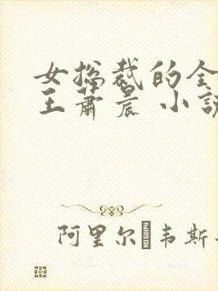 女总裁的全能兵王萧晨 小说