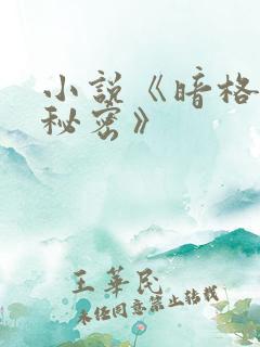 小说《暗格里的秘密》