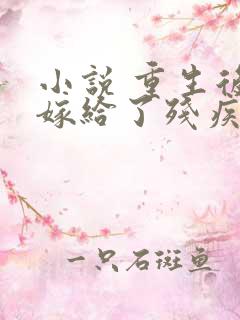 小说 重生后我嫁给了残疾大佬