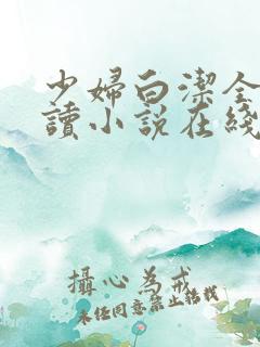 少妇白洁全文阅读小说在线