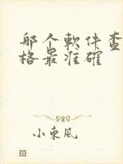 哪个软件查车价格最准确