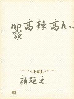 np高辣高h小说