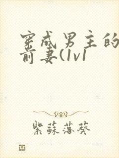 穿成男主的炮灰前妻(1v1