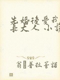 先婚后爱我的市长大人 小说