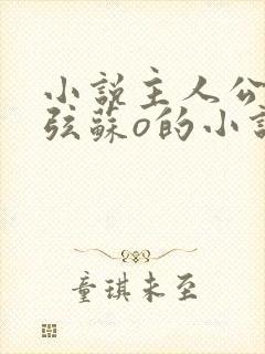 小说主人公顾北弦苏o的小说