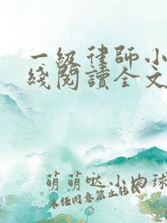 一级律师小说在线阅读全文免费