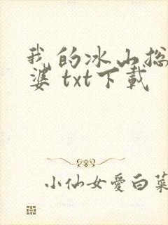我的冰山总裁老婆 txt下载