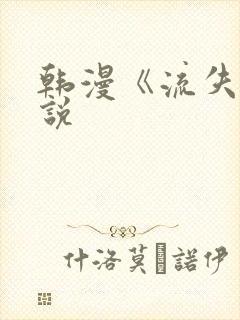 韩漫《流失》小说