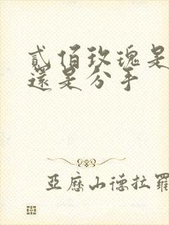 贰佰玫瑰是表白还是分手