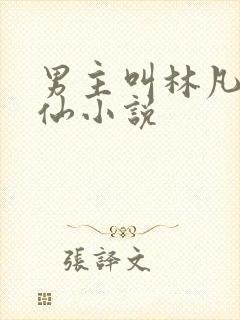 男主叫林凡的修仙小说